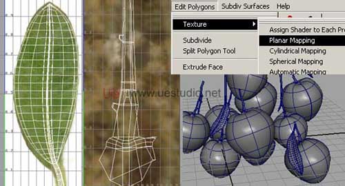 用maya制作荔枝(2)